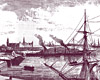 The Harbour The Harbour